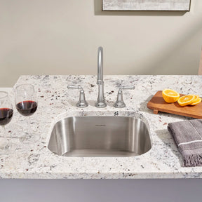 Portsmouth® 18 x 16-Inch Stainless Steel Undermount Single Bowl Kitchen Sink