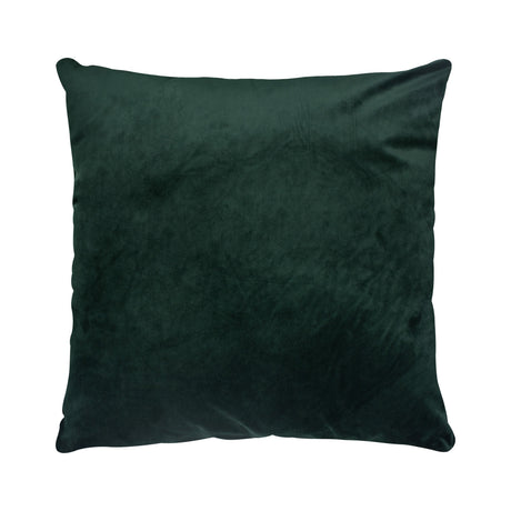 OLIVE 20 W x 20 H