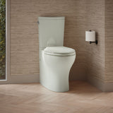Persuade® Curv Toilet tank, dual-flush