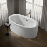 Sunstruck® 65-1/2" x 35-1/2" freestanding Heated BubbleMassage™ air bath with straight shroud