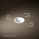 Iron Plains® 12" round drop-in/undermount/vessel bathroom sink