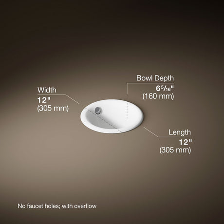 Iron Plains® 12" round drop-in/undermount/vessel bathroom sink