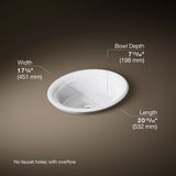 Artifacts™ 21" oval drop-in bathroom sink