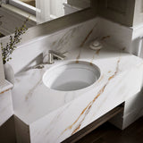 Artifacts™ 21-1/4" oval undermount bathroom sink