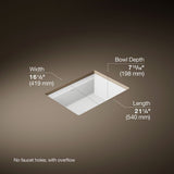 Artifacts™ 21-1/4" rectangular undermount bathroom sink