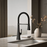 Graze® Semi-professional kitchen sink faucet with three-function sprayhead