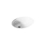 Caxton® 19-1/4" oval undermount bathroom sink