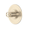 Armstrong 3/4" Thermostatic Trim Without Volume Control