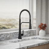 Tone® Semi-professional pull-down kitchen sink faucet with three-function sprayhead