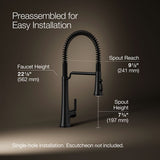 Tone® Semi-professional pull-down kitchen sink faucet with three-function sprayhead