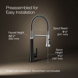 Tone® Semi-professional pull-down kitchen sink faucet with three-function sprayhead