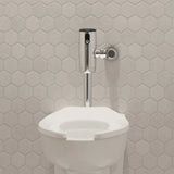 Afwall® Millennium® 1.0 - 1.6 gpf (3.8- 6.0 Lpf) Wall-Hung EverClean® Bowl Less Seat