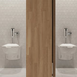 Afwall® Millennium® 1.0 - 1.6 gpf (3.8- 6.0 Lpf) Wall-Hung EverClean® Bowl Less Seat