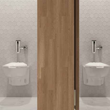 Afwall® Millennium® 1.0 - 1.6 gpf (3.8- 6.0 Lpf) Wall-Hung EverClean® Bowl Less Seat