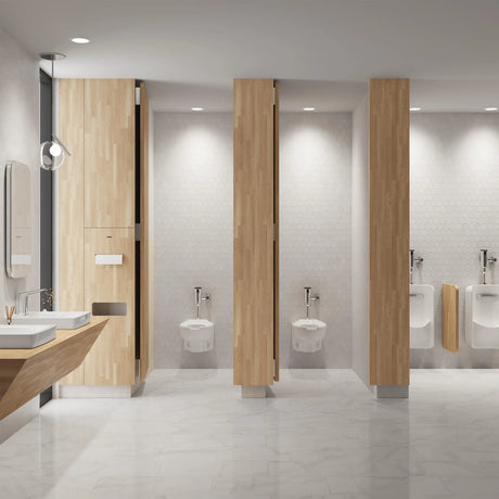 Afwall® Millennium® 1.0 - 1.6 gpf (3.8- 6.0 Lpf) Wall-Hung EverClean® Bowl Less Seat