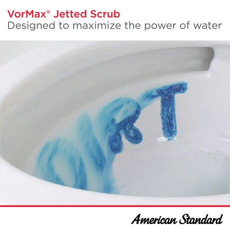 VorMax® 1.28 gpf/4.8 Lpf 12-Inch Rough Tank