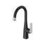 Aspirations Pull-Down Bar Faucet