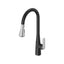 Aspirations Touchless Pull-Down Kitchen Faucet