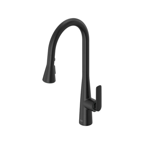 Aspirations Pull-Down Kitchen Faucet