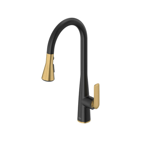 Aspirations Pull-Down Kitchen Faucet