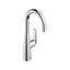 Aspirations Pull-Down Bar Faucet