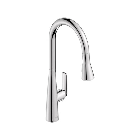 Aspirations Pull-Down Kitchen Faucet