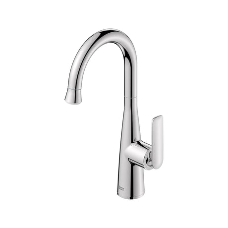 Aspirations Pull-Down Bar Faucet