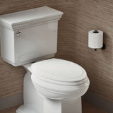 Rutledge® Nightlight ReadyLatch® Quiet-Close™ elongated toilet seat
