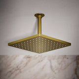 Honesty® 10" single-function rainhead, 2.5 gpm
