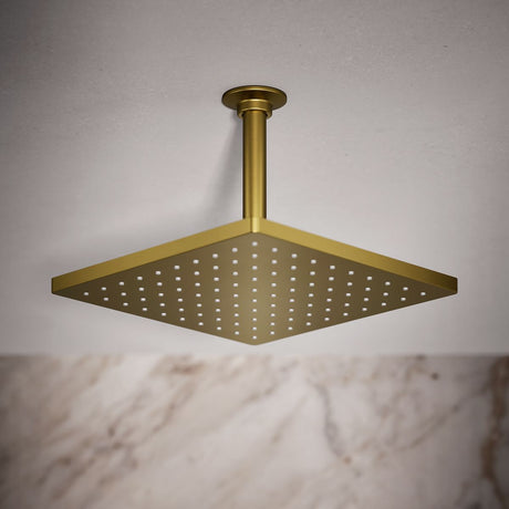 Honesty® 10" single-function rainhead, 1.75 gpm
