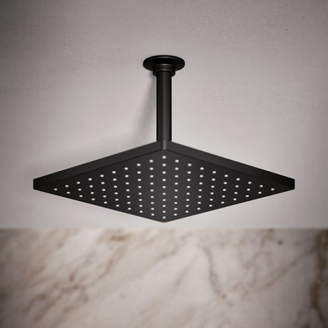 Honesty® 10" single-function rainhead, 1.75 gpm