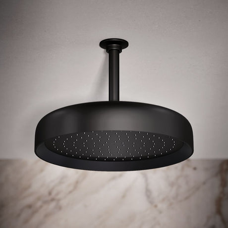 Statement® Round 12" single-function rainhead, 2.5 gpm