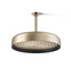 Statement® Round 12" single-function rainhead, 1.75 gpm