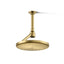 Statement® Open Rain iconic single-function rainhead, 2.5 gpm