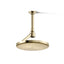 Statement® Open Rain iconic single-function rainhead, 2.5 gpm