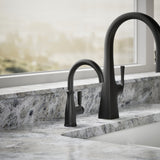 Traditional beverage faucet