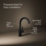 Contemporary Beverage faucet