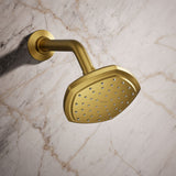 Occasion® Single-function showerhead, 2.5 gpm