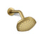 Occasion® Single-function showerhead, 1.75 gpm