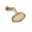 Occasion® Single-function showerhead, 2.5 gpm