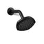 Occasion® Single-function showerhead, 2.5 gpm