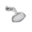 Occasion® Single-function showerhead, 2.5 gpm