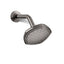 Occasion® Single-function showerhead, 2.5 gpm