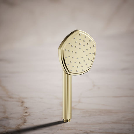 Occasion® Single-function handshower, 2.5 gpm