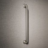 Occasion® 24" grab bar