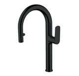 Pull-down kitchen faucet