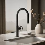 Billet® Pull-down kitchen sink faucet with two-function sprayhead