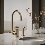 Billet® Single-handle bar sink faucet with two-function extended-reach spout and side sprayer