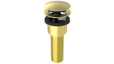 Brass Integral Waste & Overflow Clicker® Kit with Overflow, Low Profile (302Q)