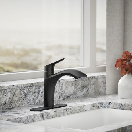 Rival® Pull-out kitchen sink faucet with two-function sprayhead